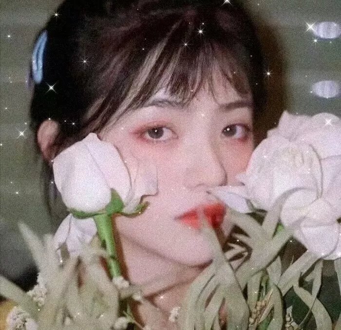 最后的科曼奇人